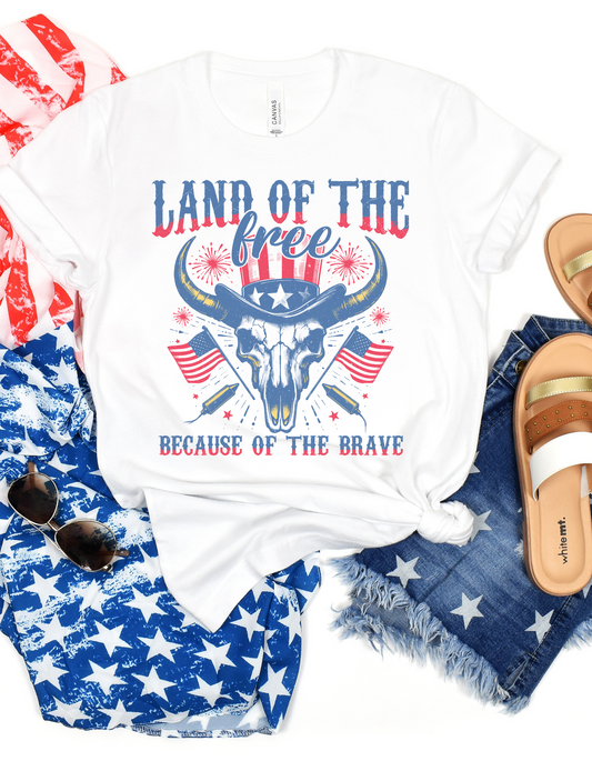 Patriotic Graphic Tee, Unisex Americana T-Shirt for Independence Day, Casual Wear, Gift for Veterans, Summer Style